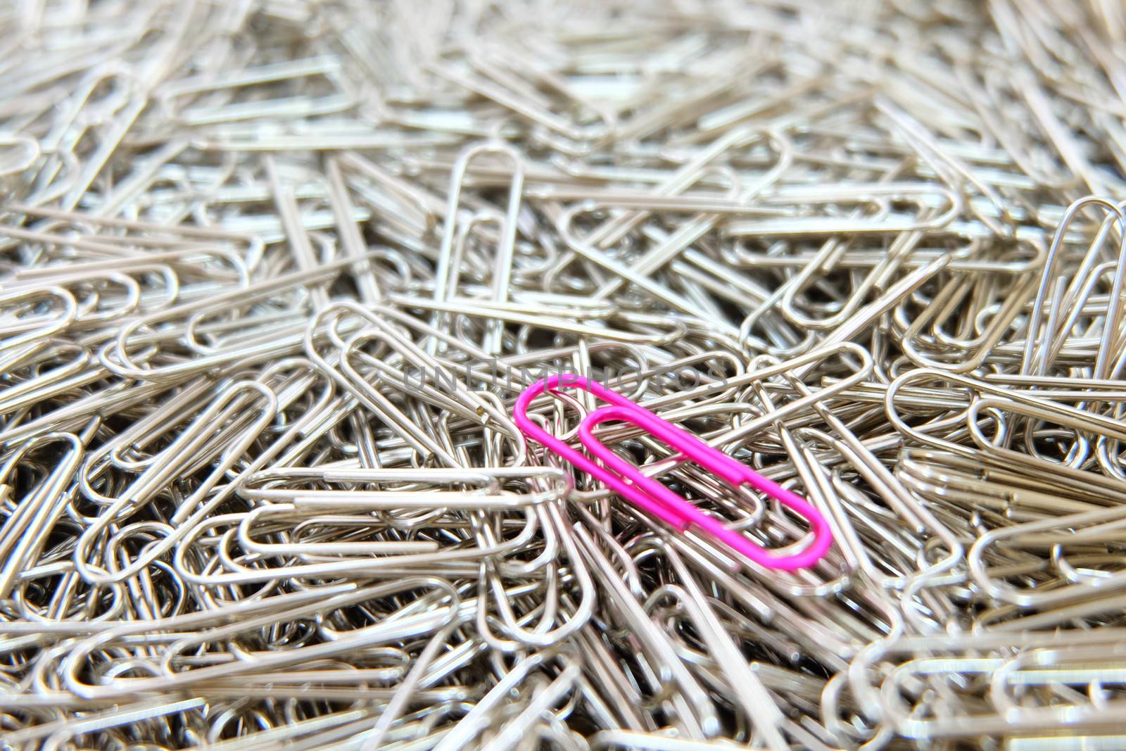 Pink paper clip on paper clips background. by e22xua
