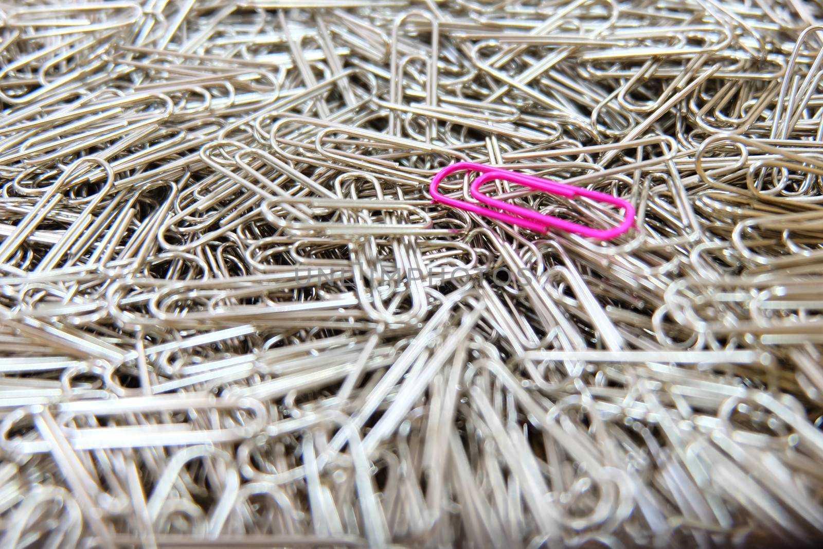 Pink paper clip on multiple paper clips background.