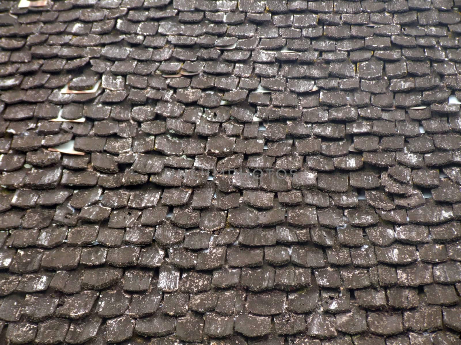 Wooden Roof Tiles