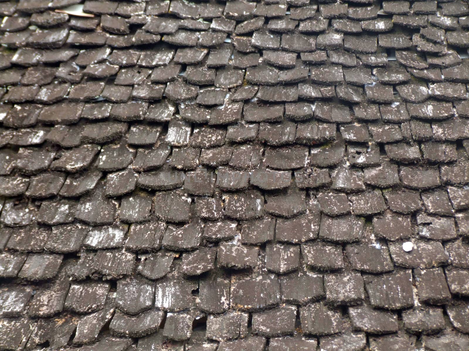 Wooden Roof Tiles by e22xua