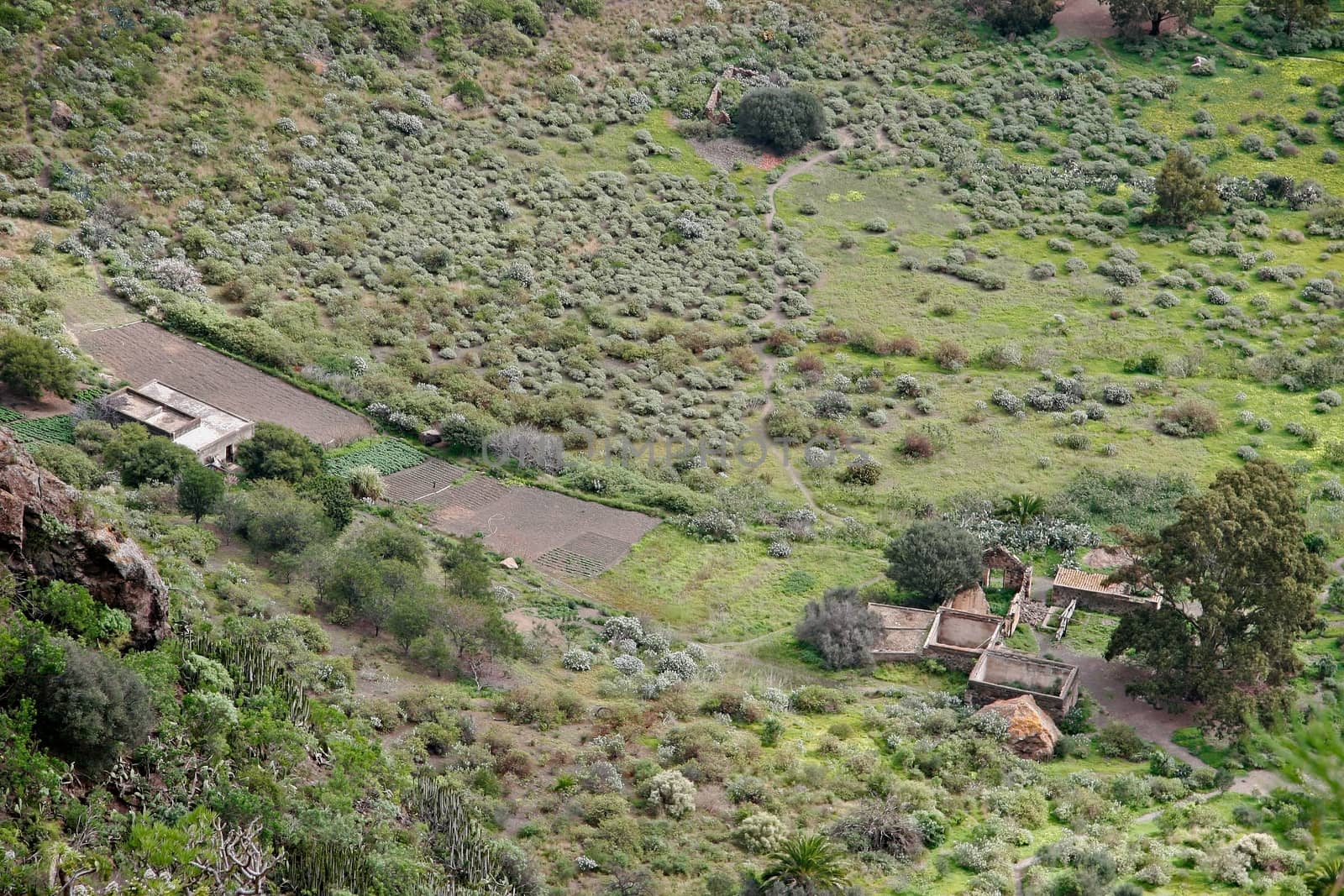 Derelict Farm in a Volcanic Crater in Gran Canaria