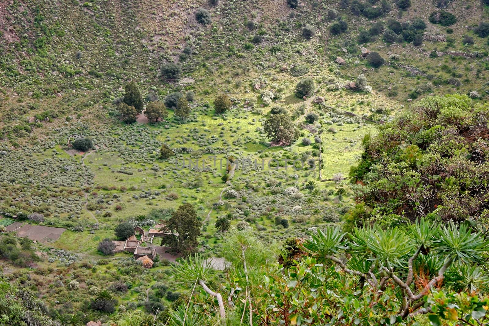 Derelict Farm in a Volcanic Crater in Gran Canaria by phil_bird