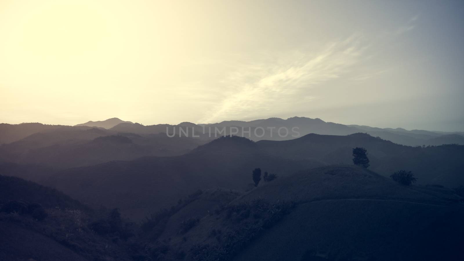 Landscape of forest mountains among mist on sunset