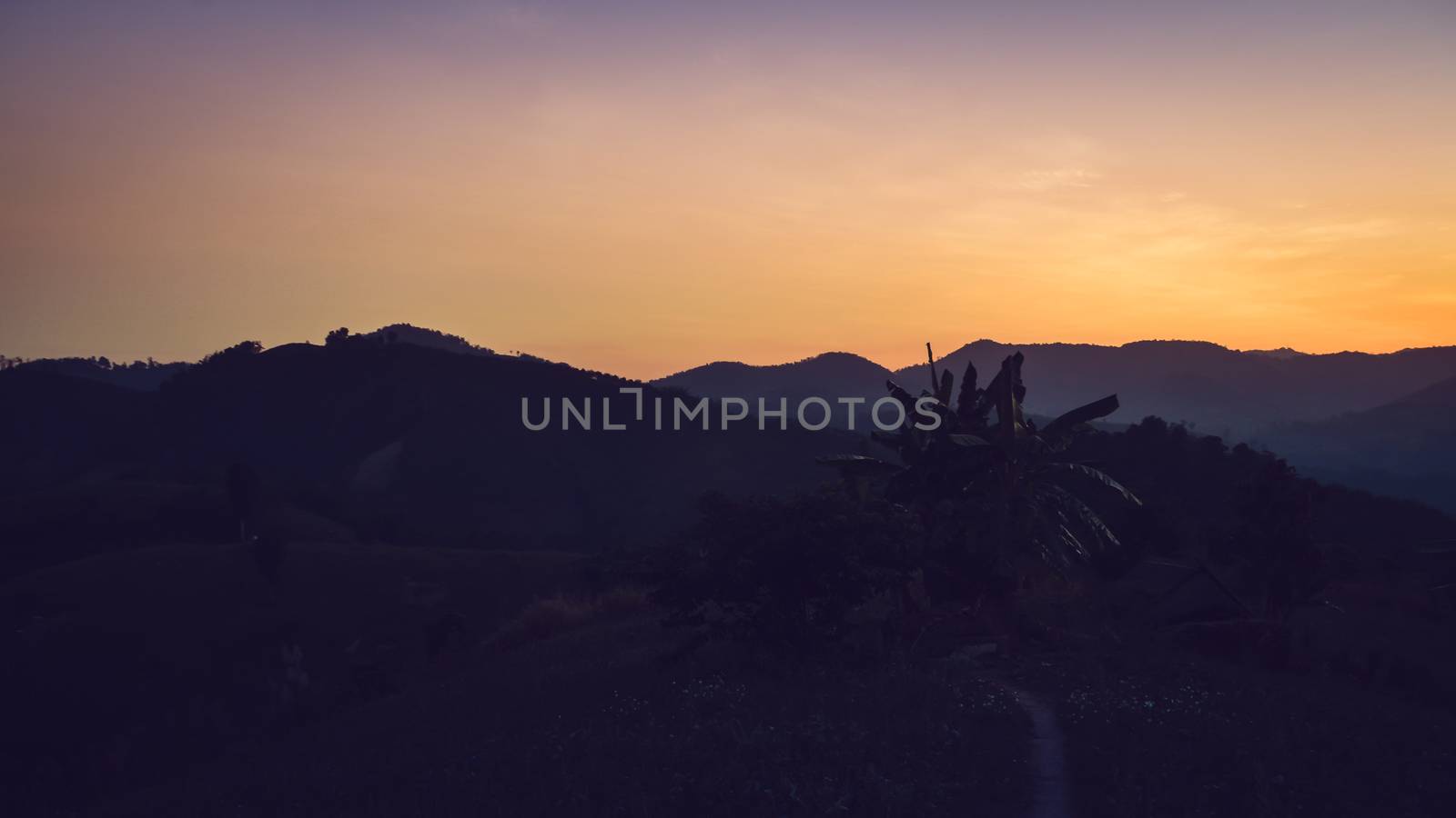 Landscape of forest mountains among mist on sunset