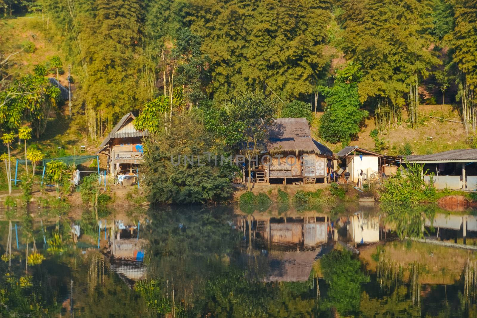 Cottage in the village among mountain and fog