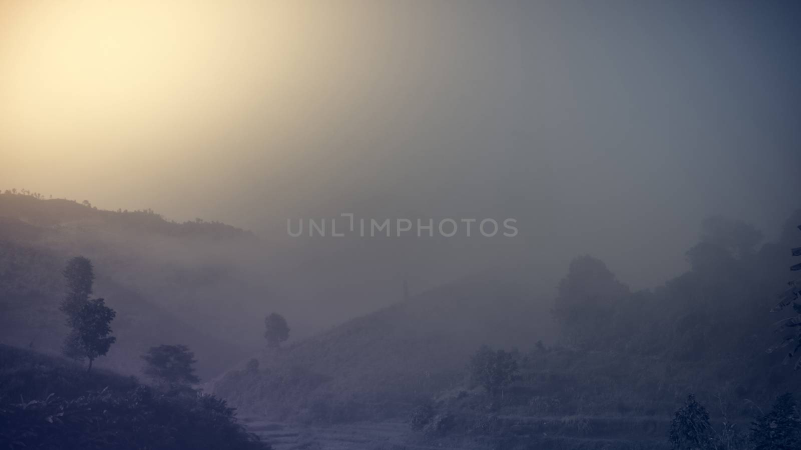 Landscape of forest mountains among mist by apichart