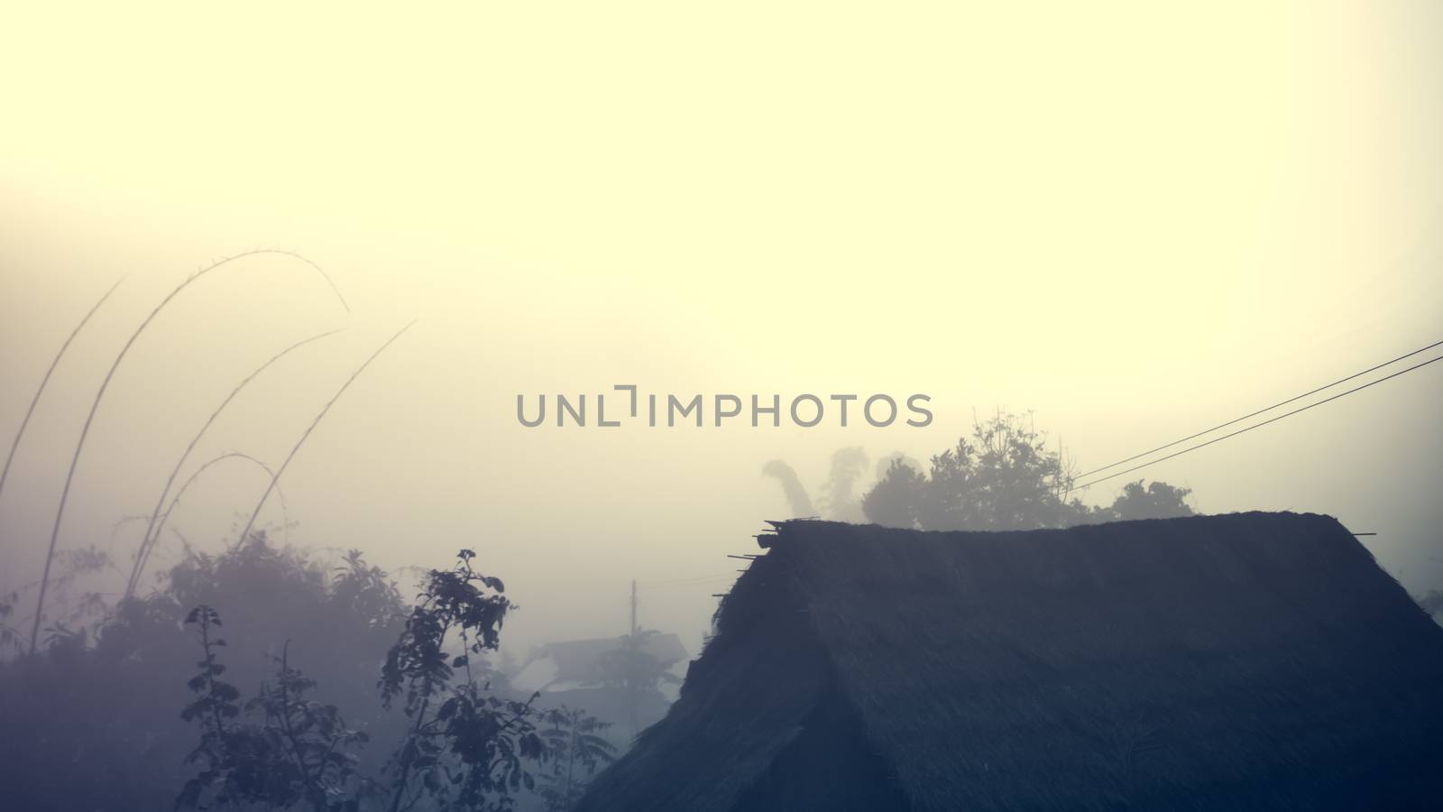 Cottage in the village among mountain and fog