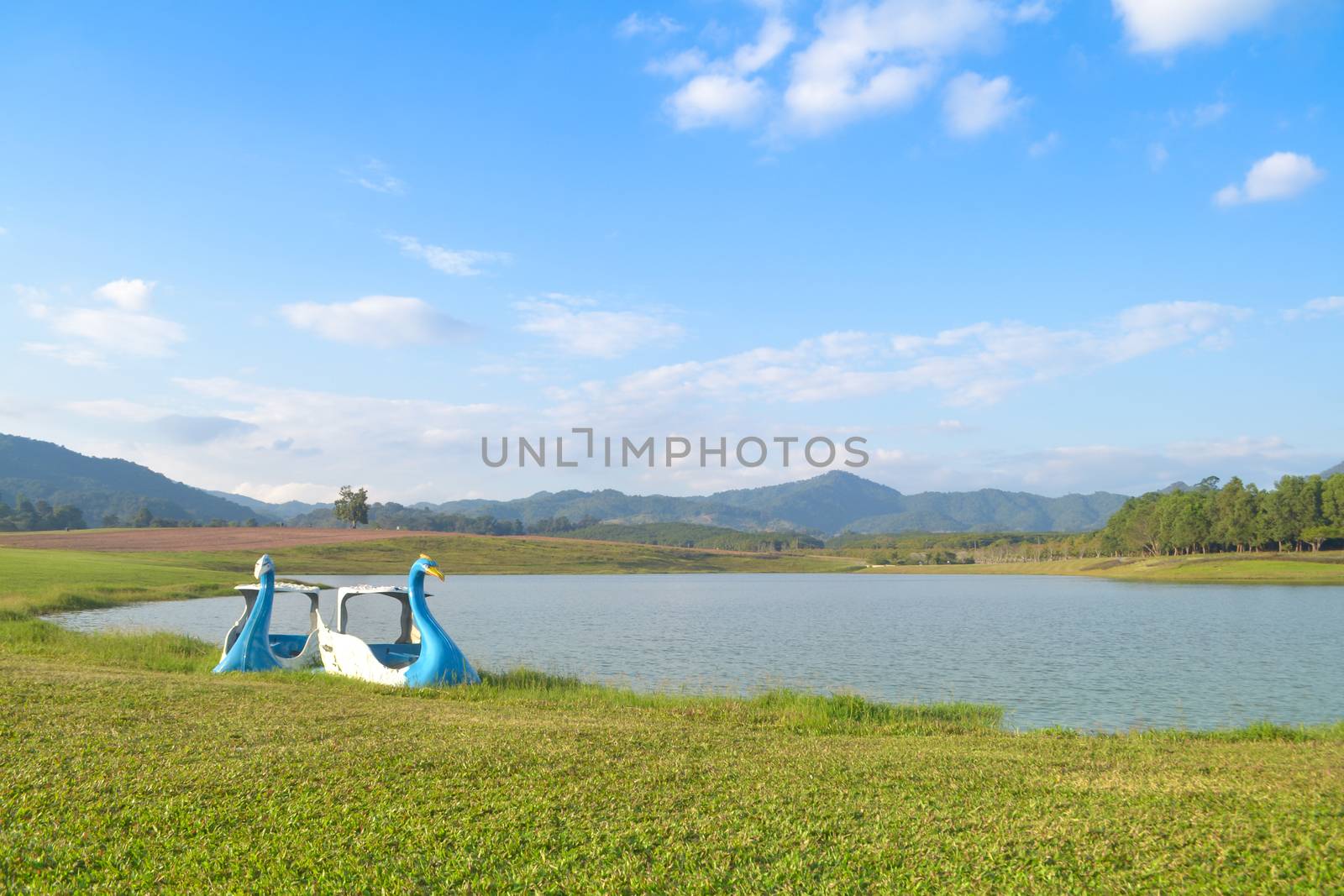 Landscape of meadow grass with river and mountain