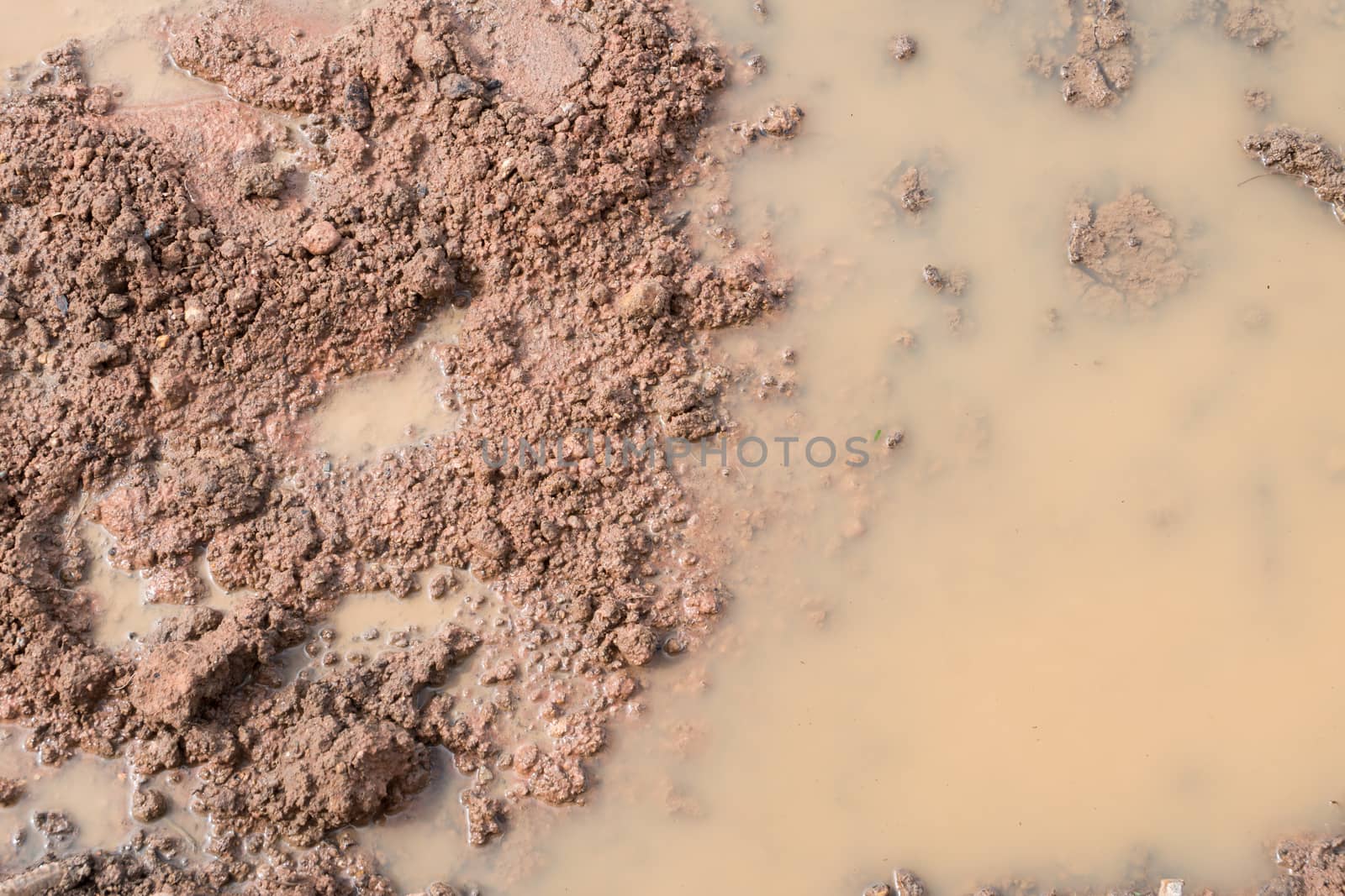 Dirty broken rural road with deep tire tracks. by nikonlike