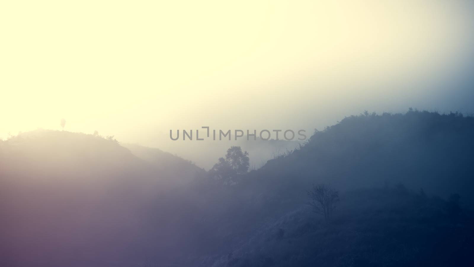 Landscape of forest mountains among mist by apichart