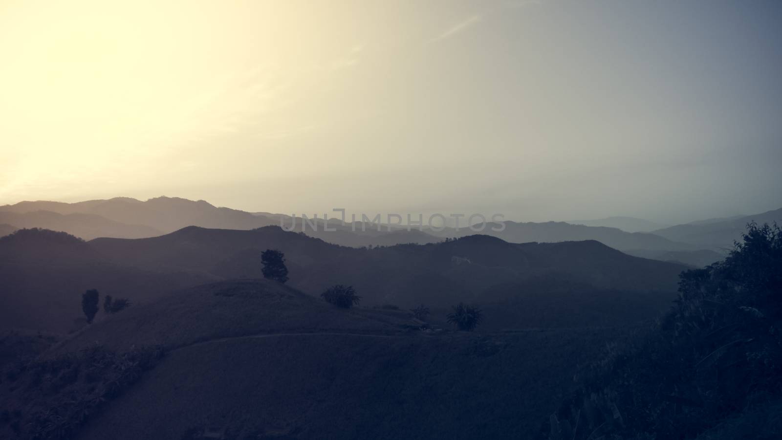 Landscape of forest mountains among mist on sunset