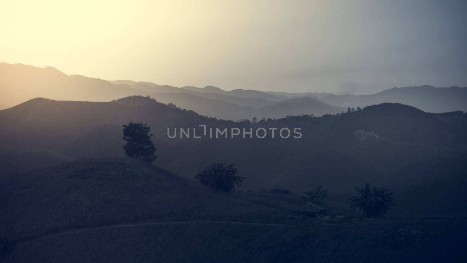 Landscape of forest mountains on sunset by apichart