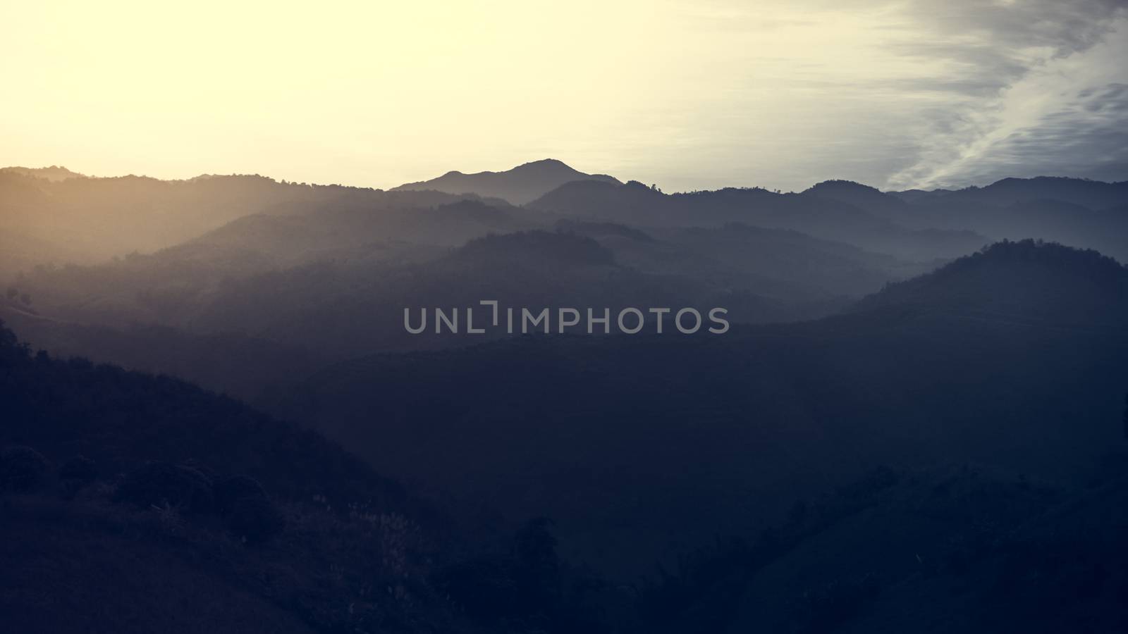 Landscape of forest mountains among mist on sunset