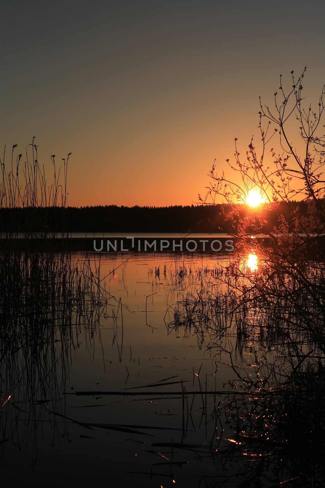 Sunset On Lake by kvkirillov