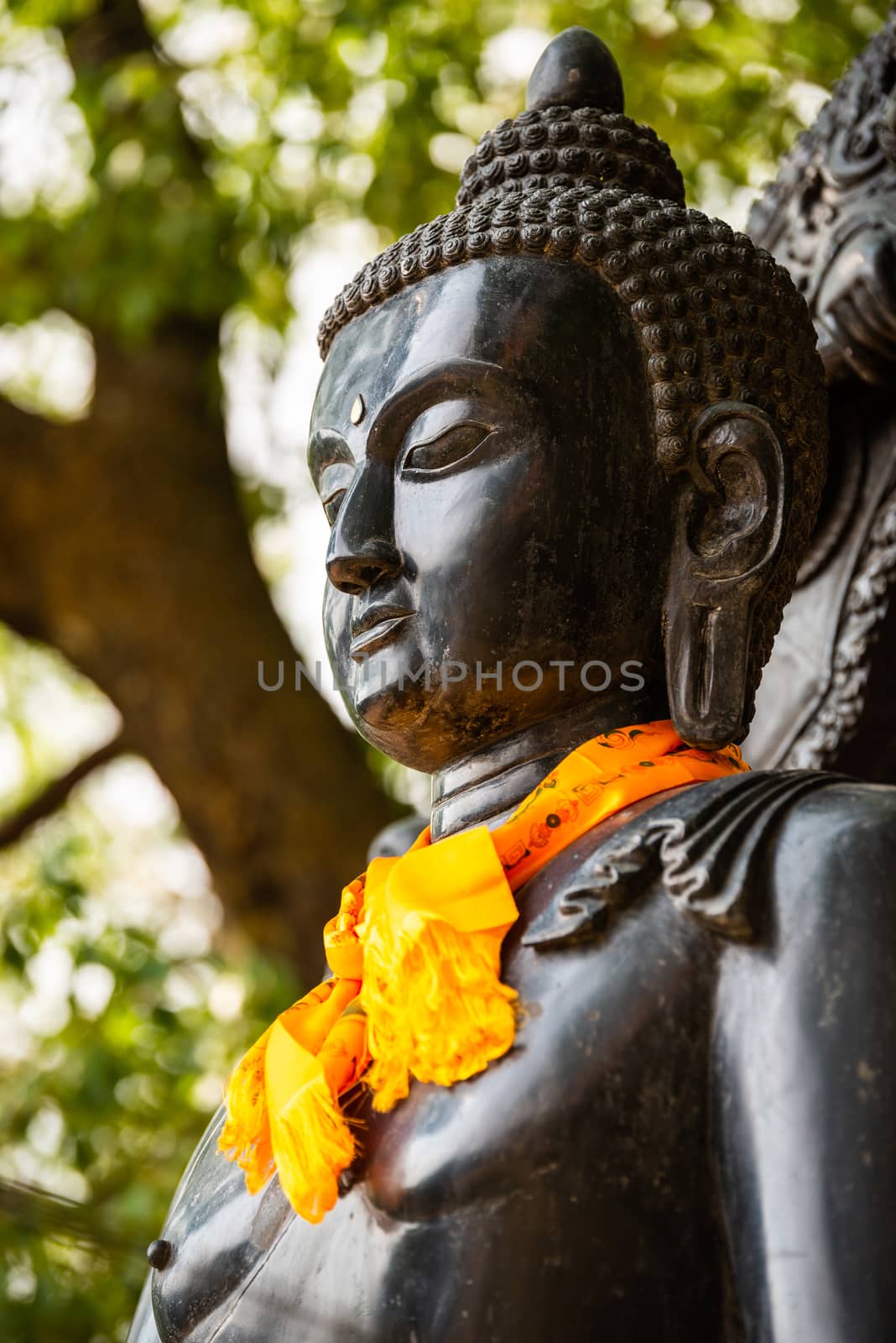 Statue of Buddha wearing an orange khata (scarf) in Patan, Nepal