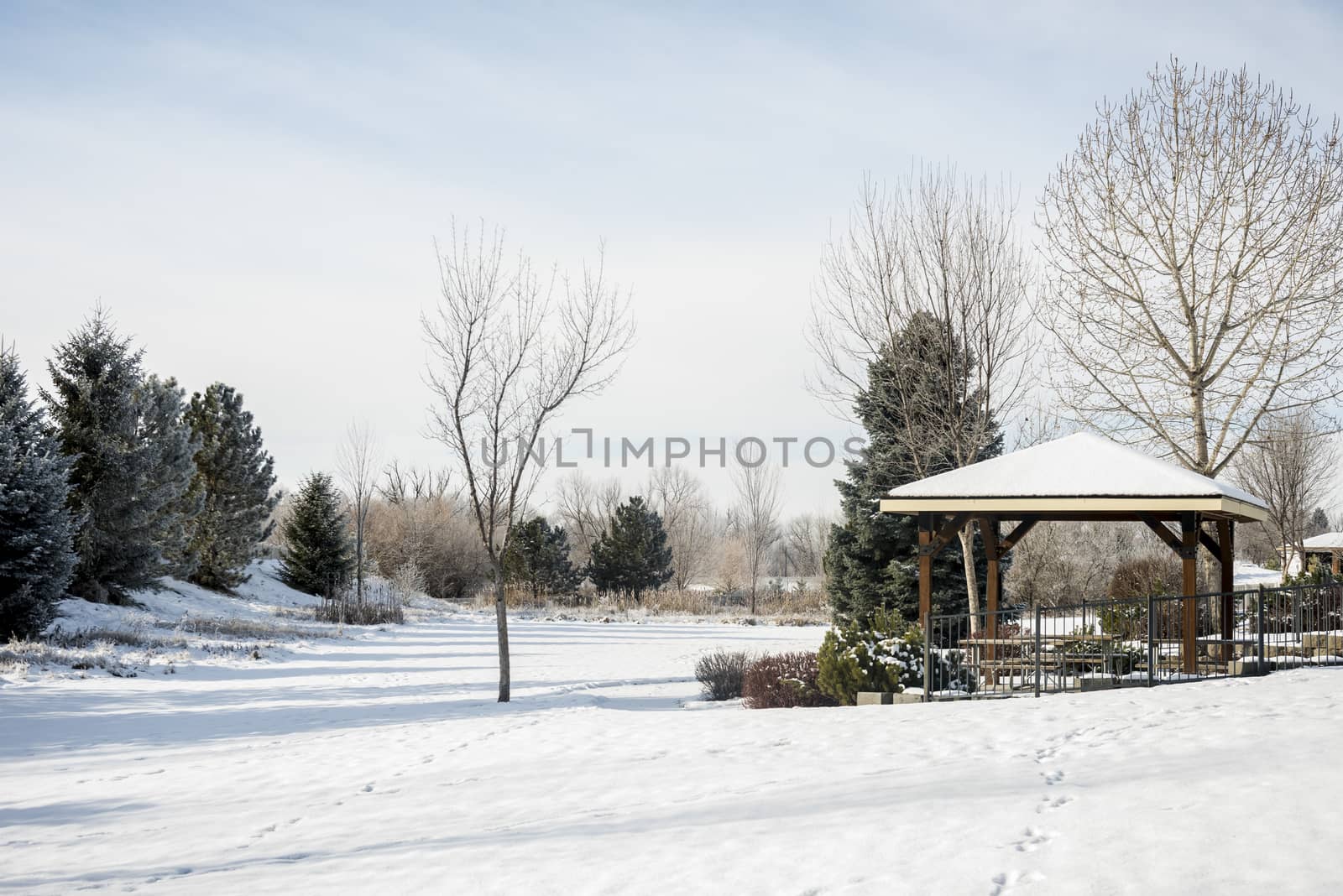 Snow-covered park with trees and gazebo in winter by Njean