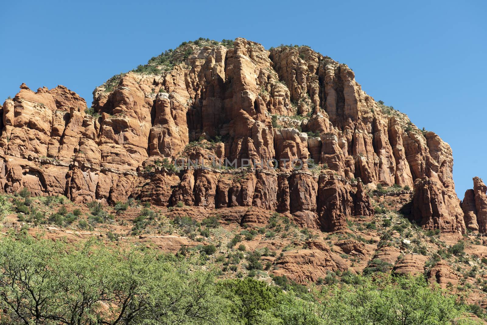 Red cliffs in Sedona, Arizona by Njean