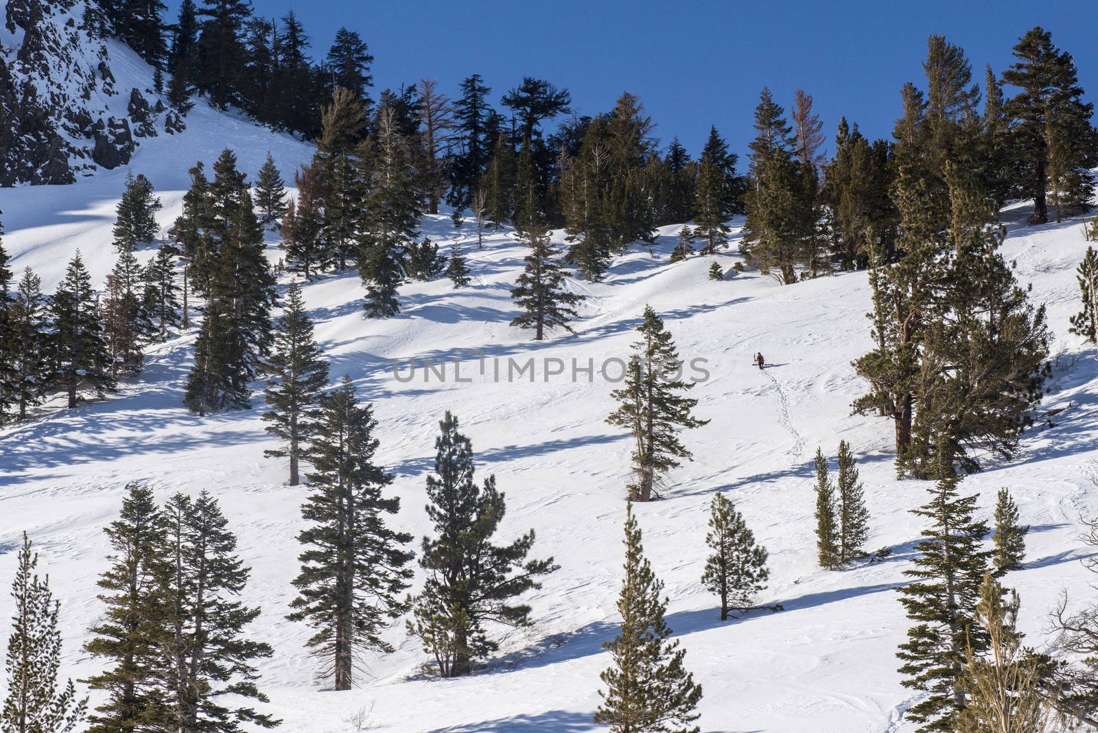 Hillside with skier in Mammoth Lakes, California, January 2017,  by Njean