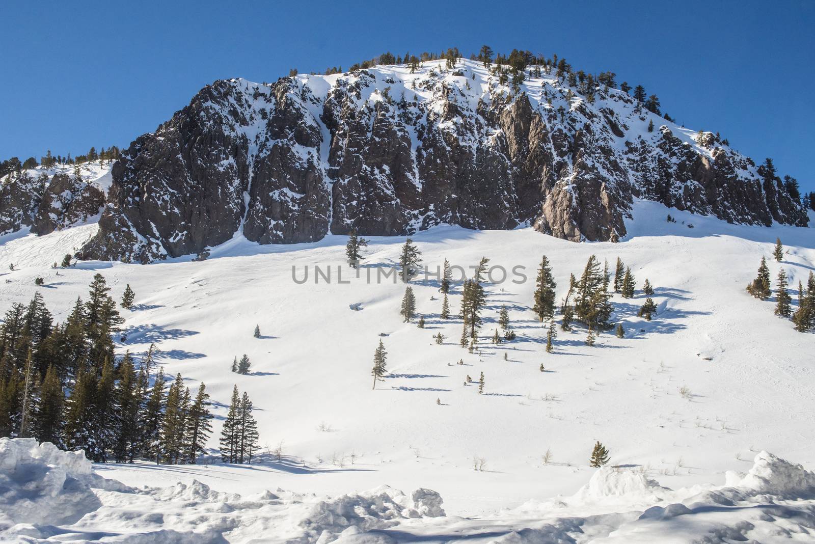 View of the snow-covered hill with pine trees in Mammoth Lakes,  by Njean
