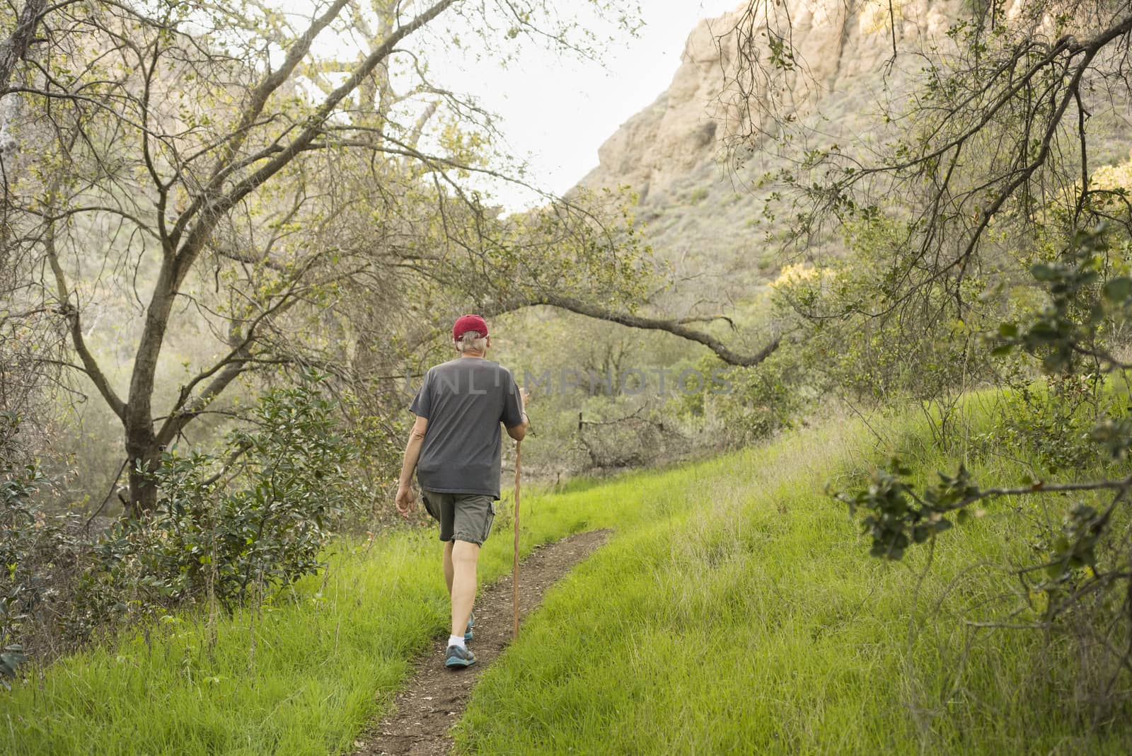 Older man hiking with stick on trail in California