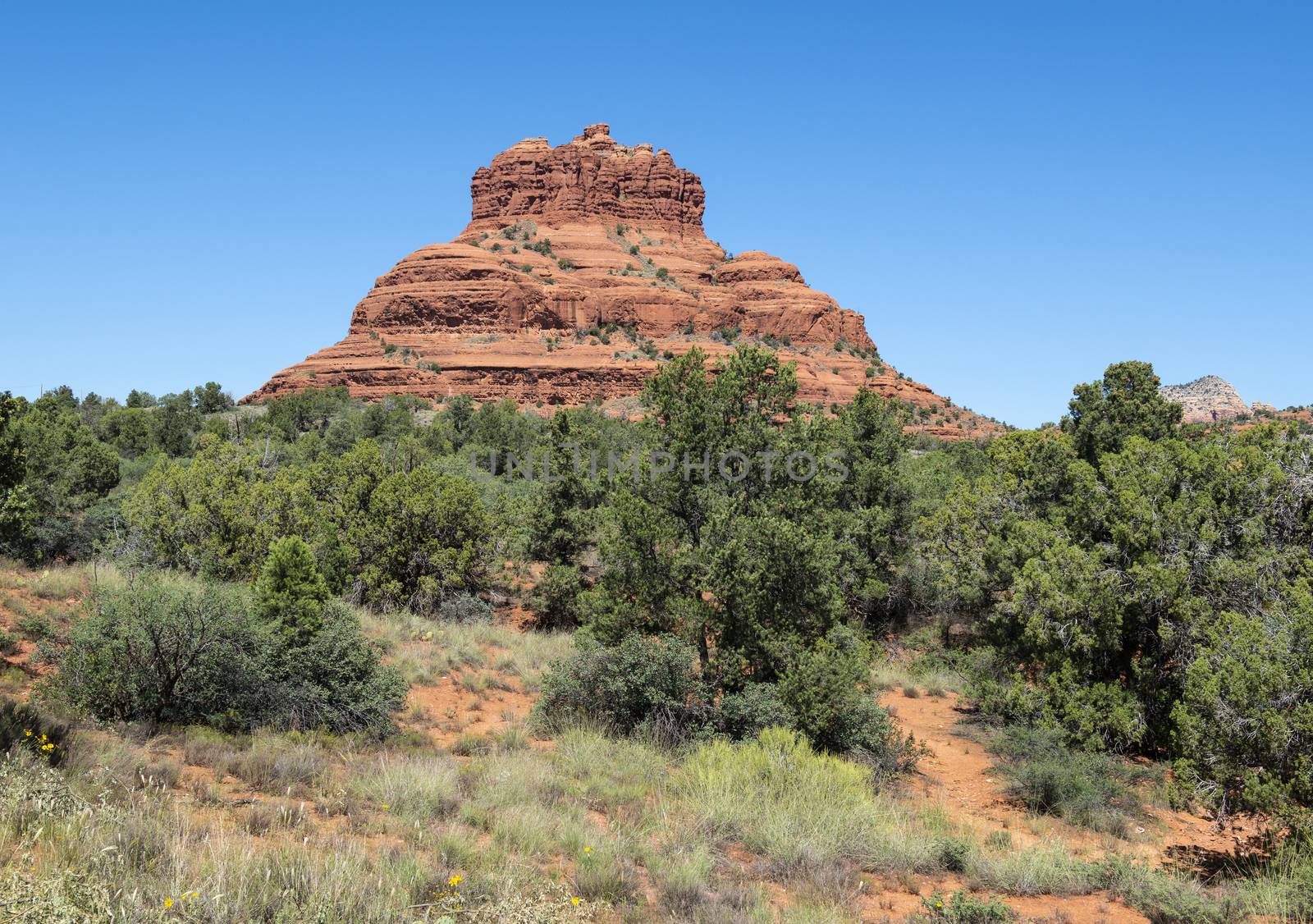 View of Bell Rock from Red Rock Scenic Byway in Sedona, Arizona by Njean