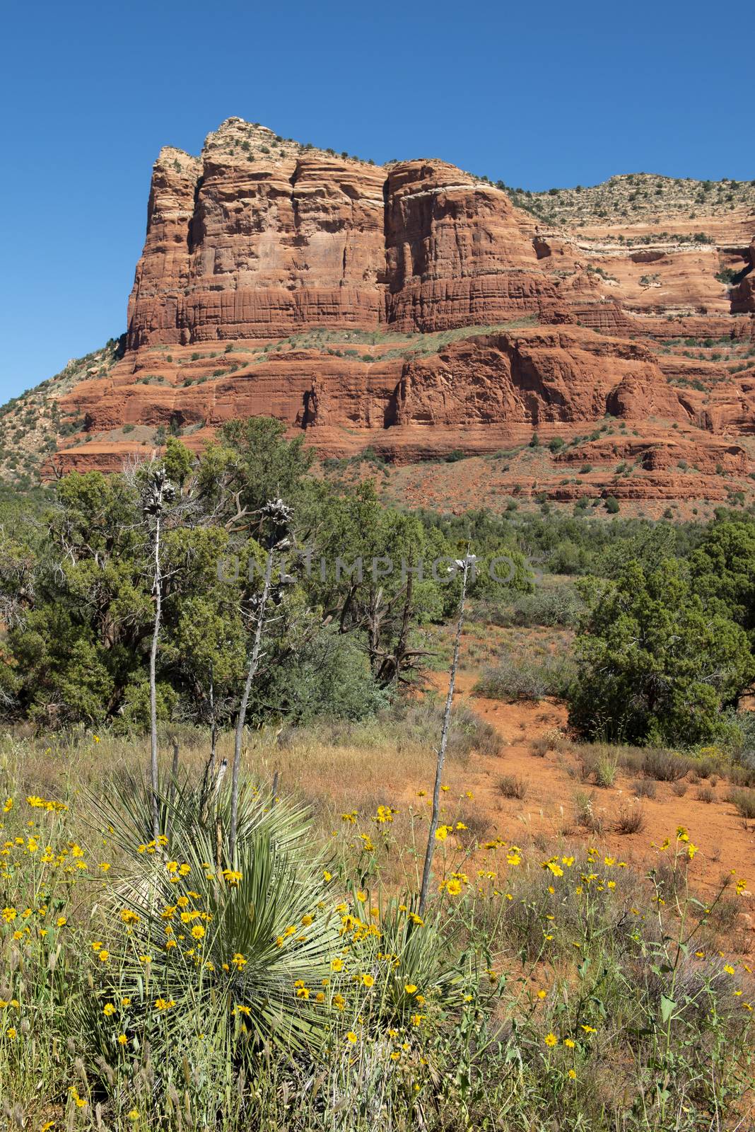 View of Courthouse Butte from Red Rock Scenic Byway in Sedona, A by Njean