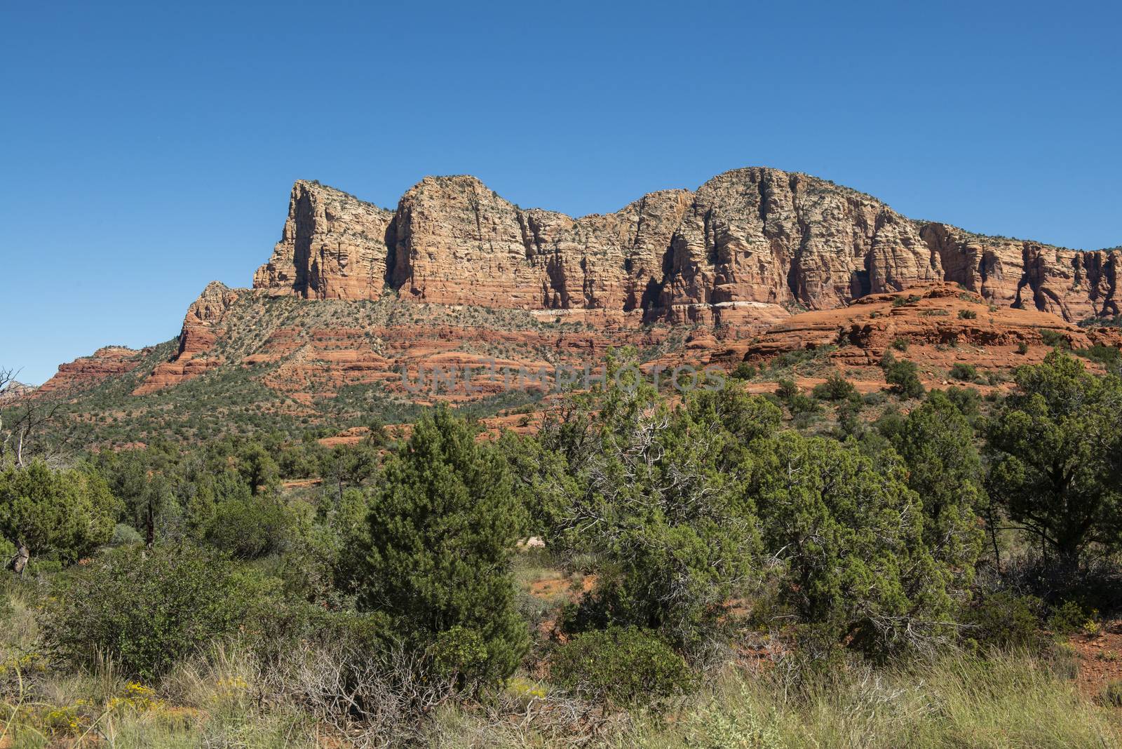 View from Red Rock Scenic Byway in Sedona, Arizona by Njean