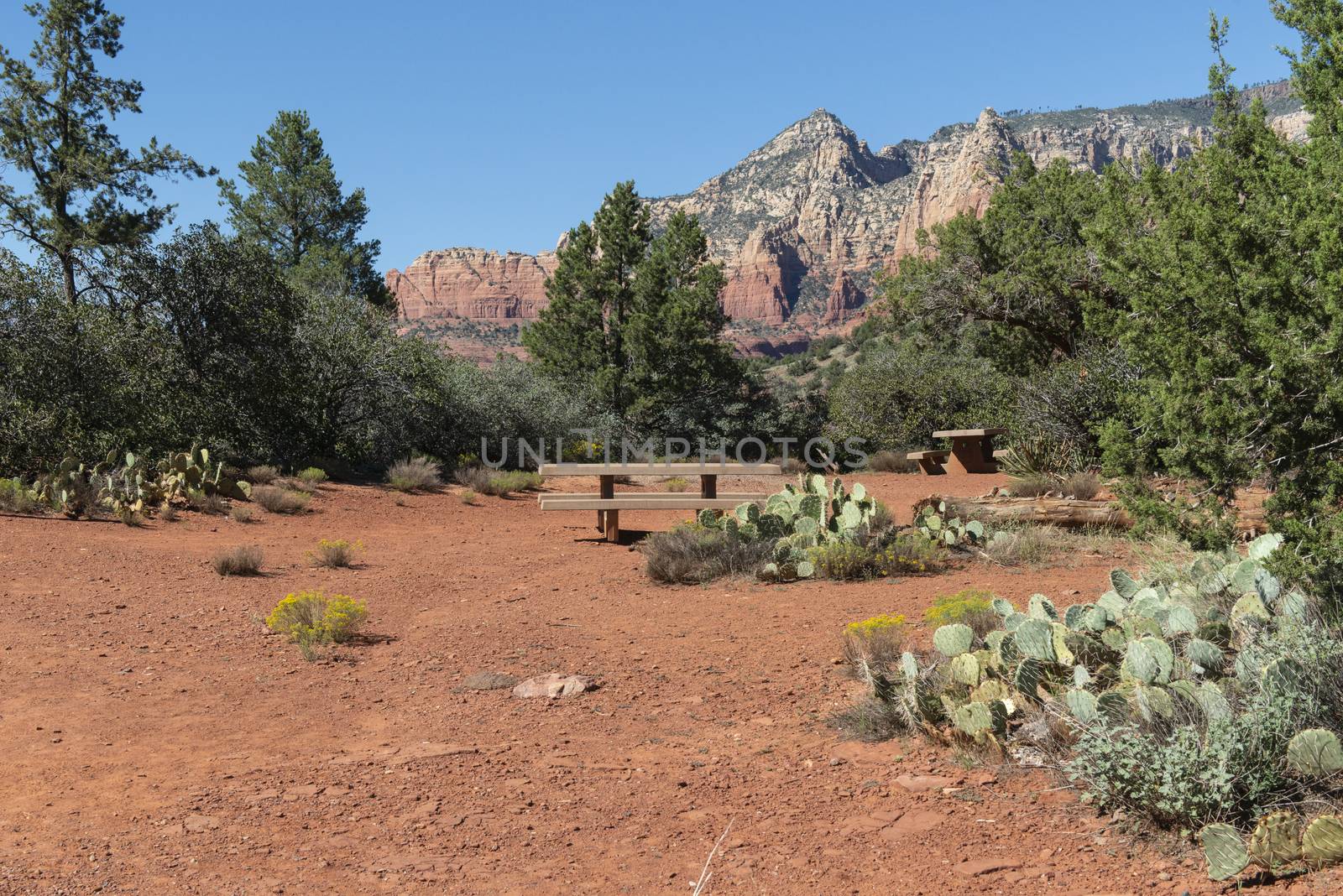 View from Schnebly Hill Road in Sedona, Arizona