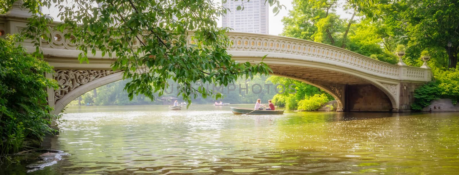 Scenic bridge in Central Park on a sunny day, Manhattan, New York City, USA