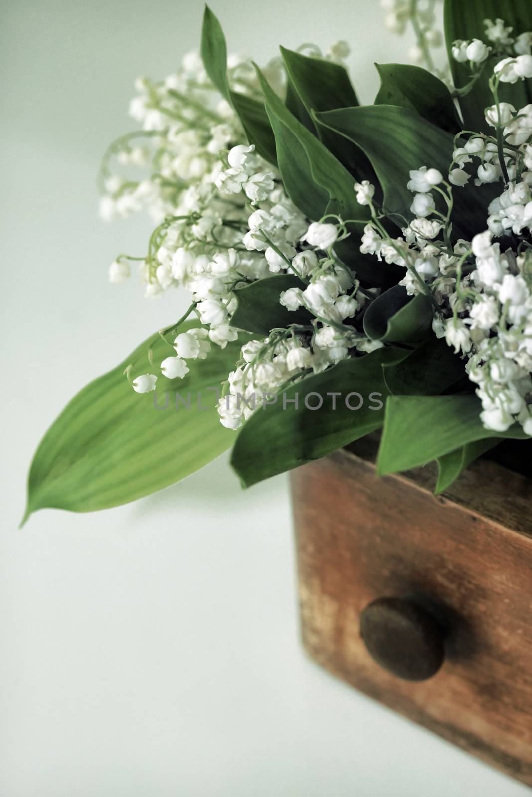 Bouquet of Lilies of the Valley by friday