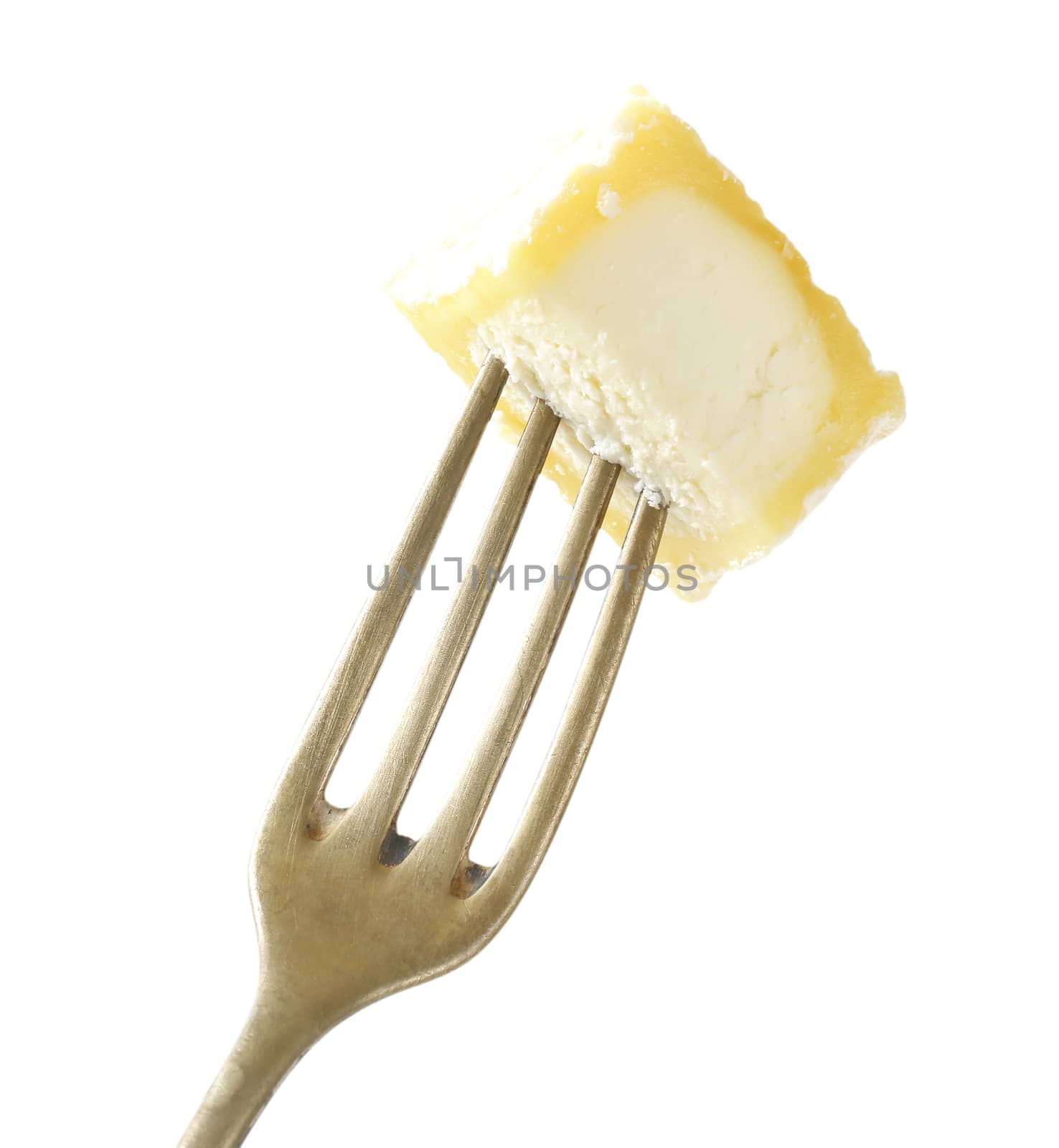 Piece of Chevre cheese on fork