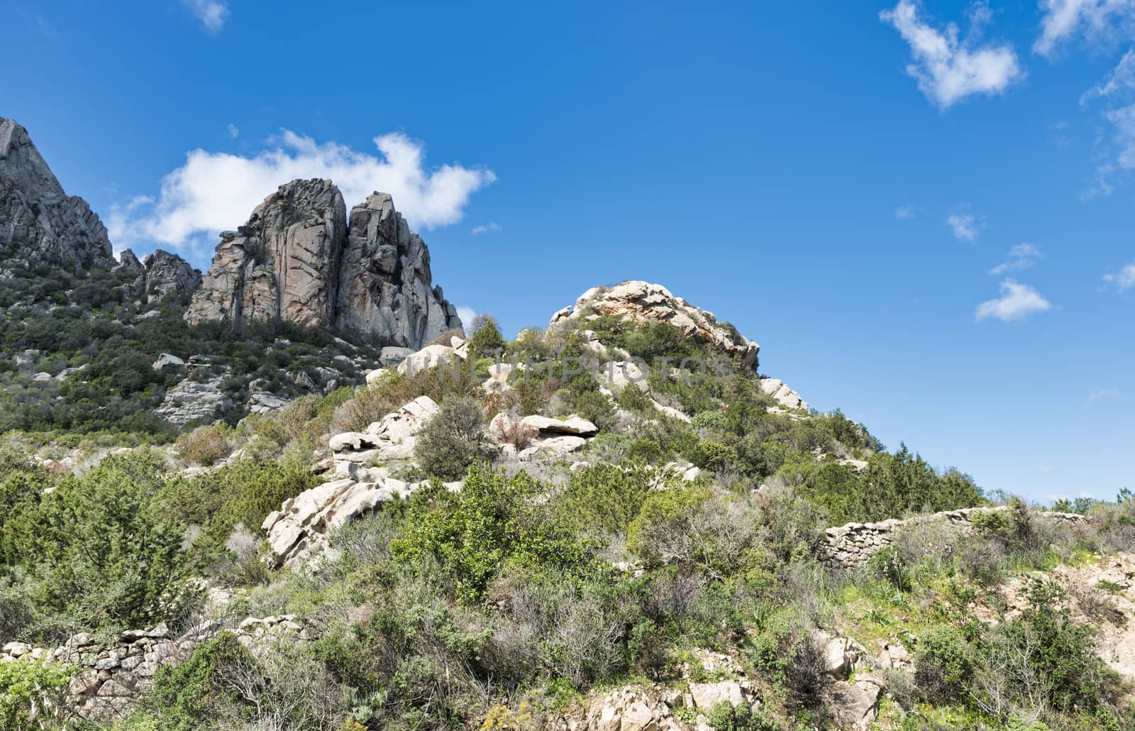 landscape of sardinia iin spring on sunny day in taly with rocks and blue sky as background