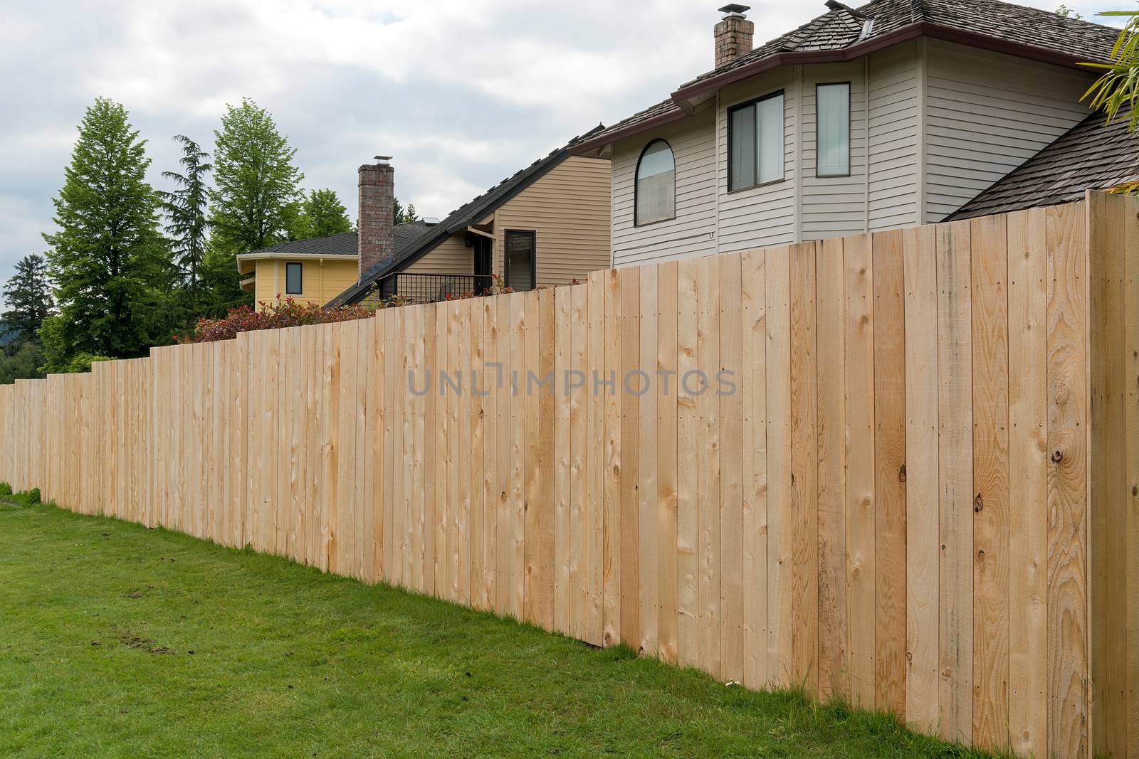 Cedar Wood Fencing along Home Backyard by Davidgn