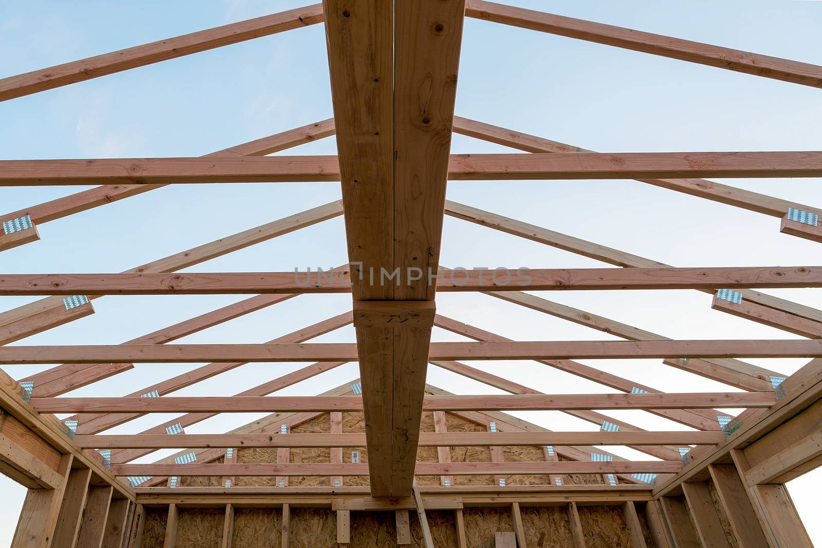 Roof support beams and wood studs framing in new home construction