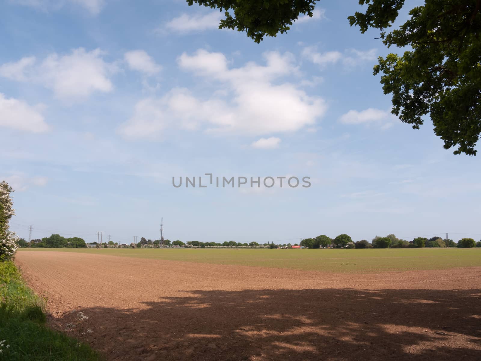 farmer's field landscape background sky spring nature agriculture; essex; england; uk