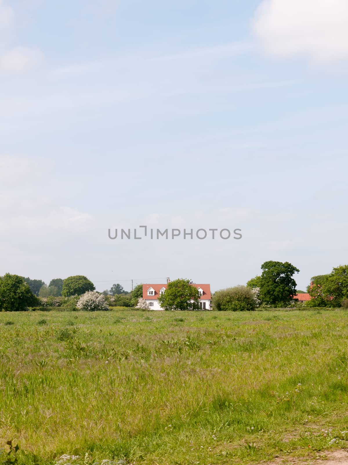 farmer's field landscape background sky spring nature agriculture white cottage house; essex; england; uk