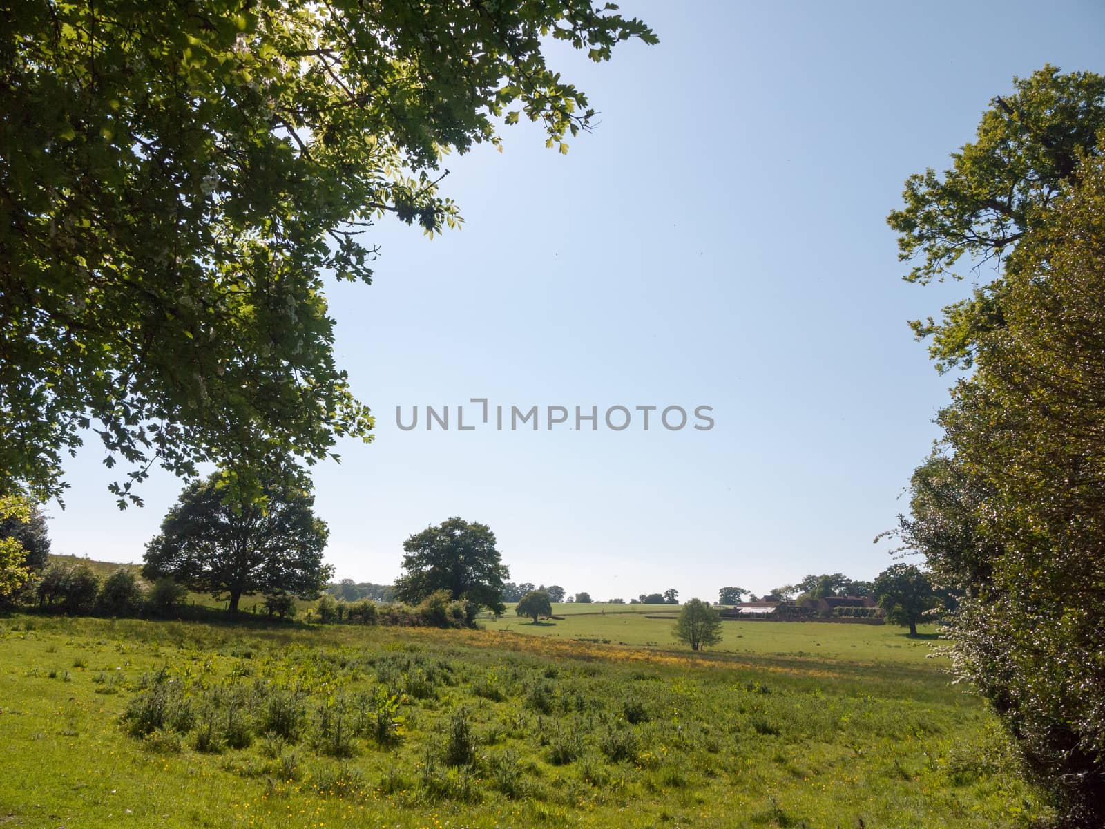 open farm field green grass lush pasture landscape background by callumrc