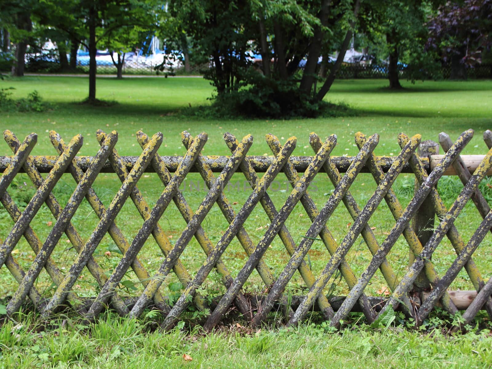 Worn Wooden Fence with Alga Surrounding a Grass Field