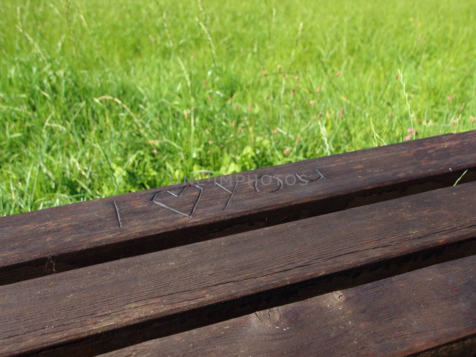 I Love You with a Heart Carved into a Wooden Bench with grass background