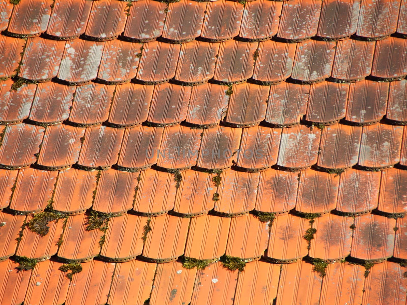Red Tile Roof with Alga and Patina by HoleInTheBox