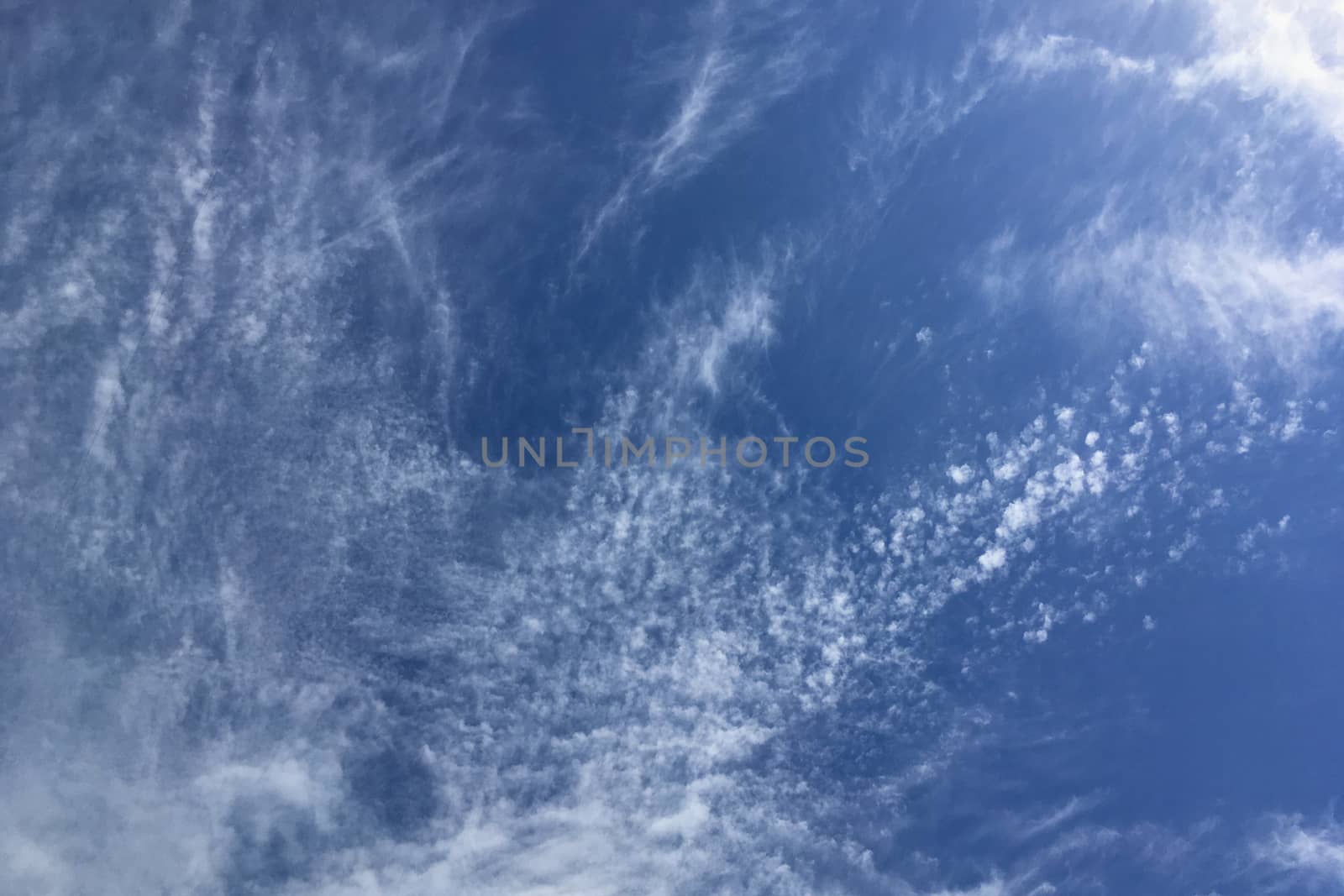 Clear blue sky with plain white cloud with space for text background