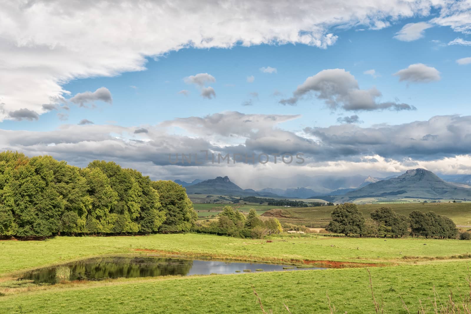 A landscape on the P317-road to Garden Castle in the Drakensberg near Underberg in the Kwazulu-Natal Province
