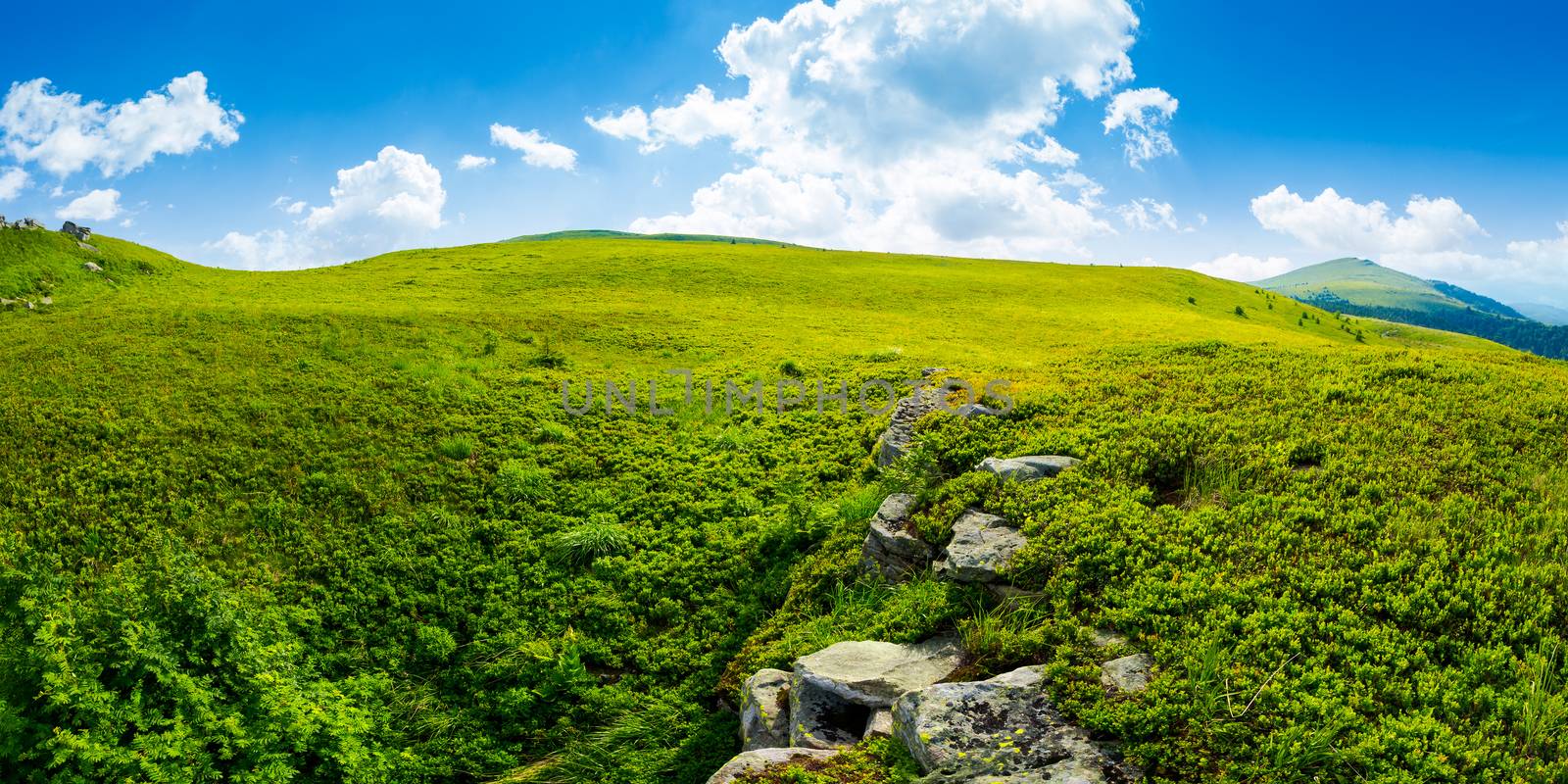 panorama of the hillside meadow. lovely summer landscape with boulders among the grass. location Runa mountain, Ukraine