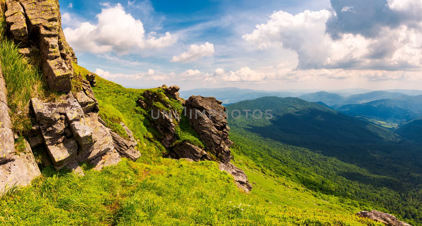 beautiful mountain scenery in summer by Pellinni