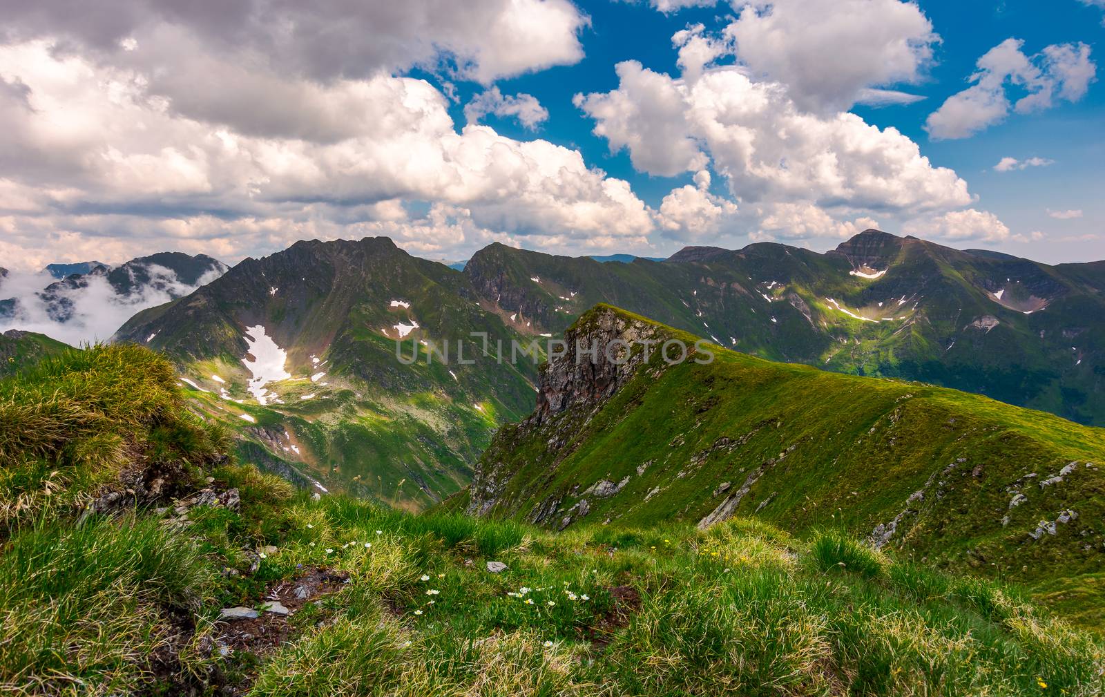 grassy hill on rocky cliffs of Fagaras mountains by Pellinni