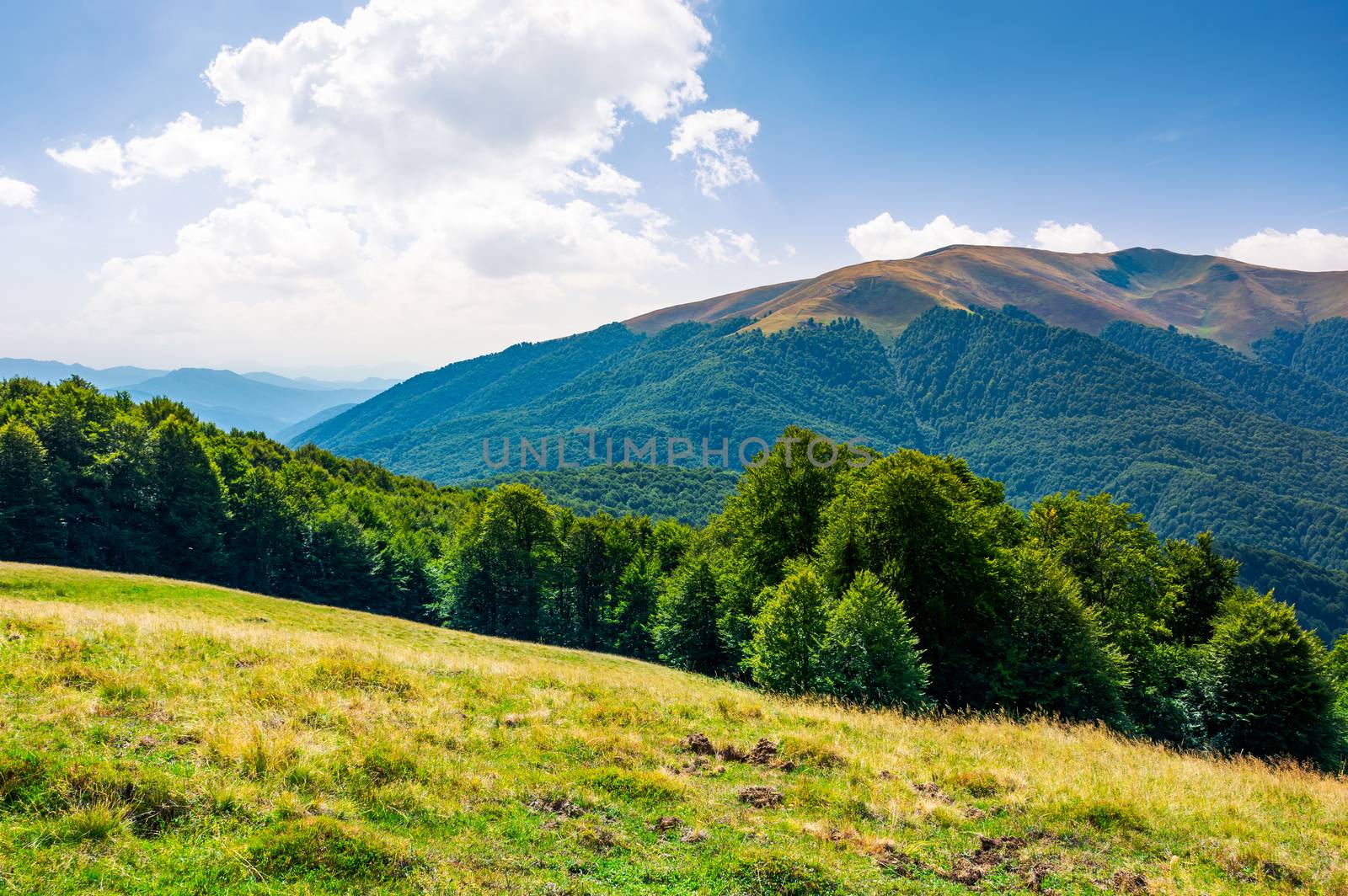 beautiful landscape of Carpathian mountains by Pellinni