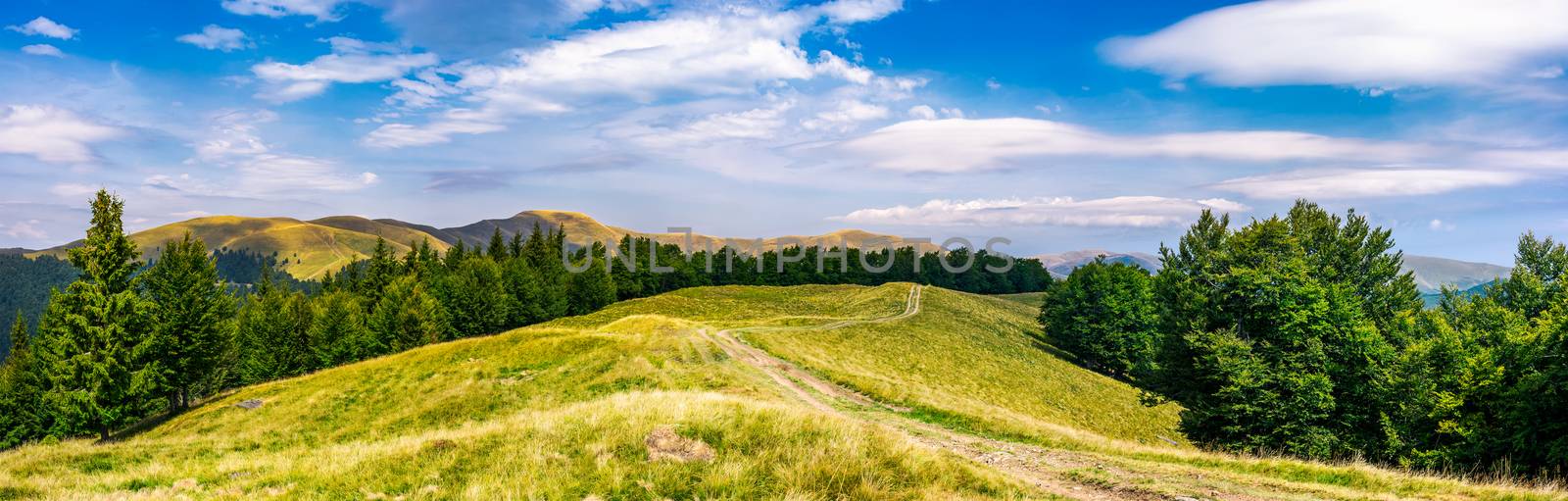 gorgeous panorama of Svedovets mountain ridge by Pellinni