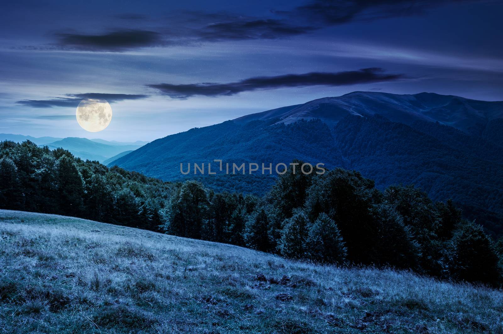 landscape of Carpathian mountains at night by Pellinni