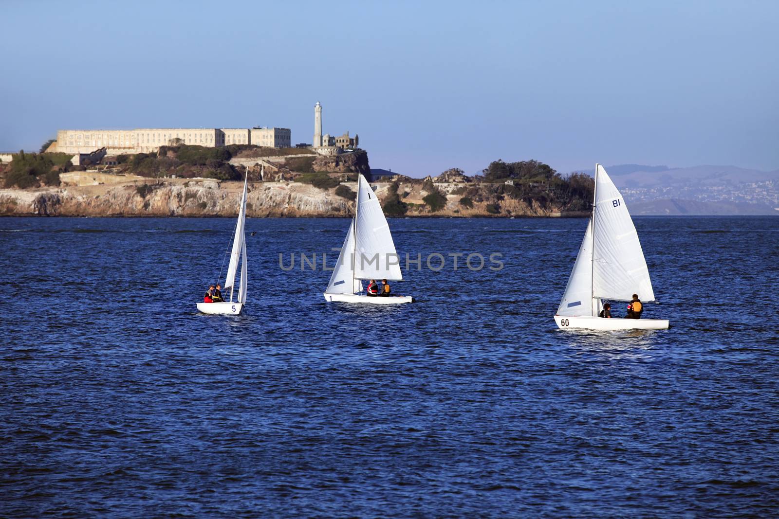 San Francisco, CA, USA - October 31, 2013: sailing boats  in the bay on the background of Alcatras in San Francisco