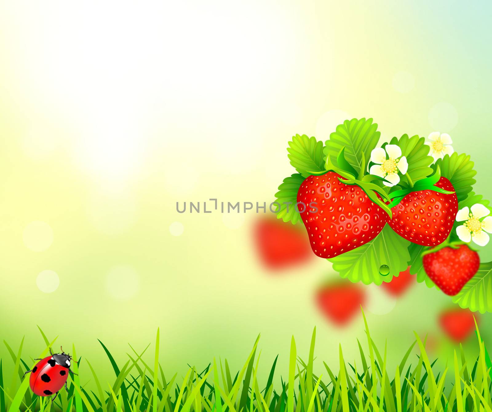 Strawberry, summer background  by liolle